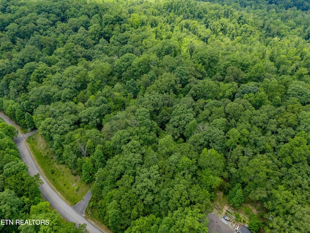 Crystal Springs Rd, Rockwood, TN 37854 - photo 17