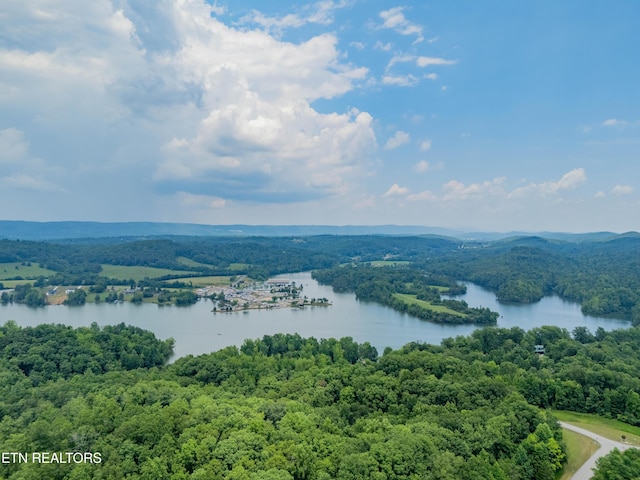 Crystal Springs Rd, Rockwood, TN 37854 - photo 6