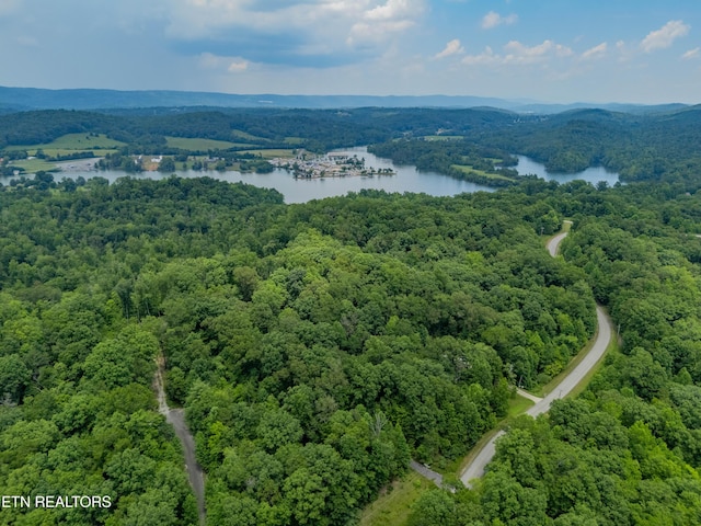 Crystal Springs Rd, Rockwood, TN 37854 - photo 7