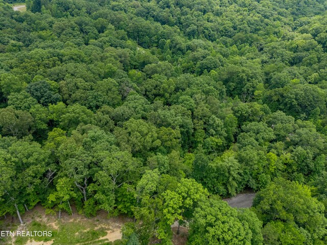 Crystal Springs Rd, Rockwood, TN 37854 - photo 18