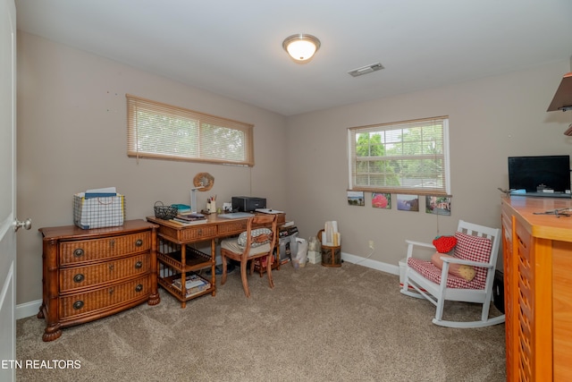 7909 Livingston Dr, Knoxville, TN 37919 - photo 18