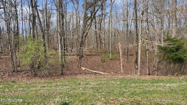 210 E Shore Dr, Rockwood, TN 37854 - photo 1
