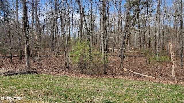 210 E Shore Dr, Rockwood, TN 37854 - photo 2