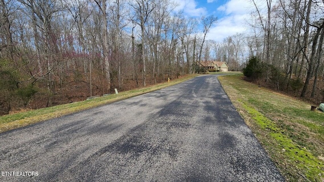 210 E Shore Dr, Rockwood, TN 37854 - photo 4