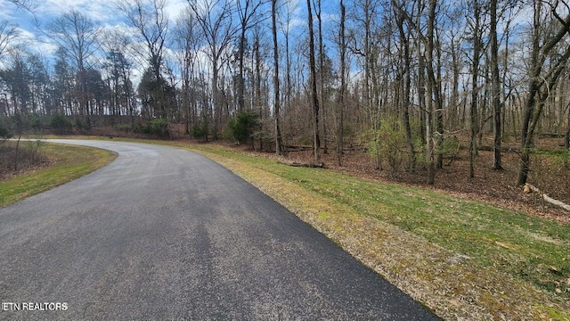 210 E Shore Dr, Rockwood, TN 37854 - photo 5