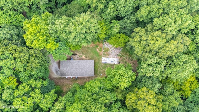 346 Strong Hollow Ln, Rocky Top, TN 37769 - photo 17