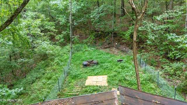 346 Strong Hollow Ln, Rocky Top, TN 37769 - photo 19