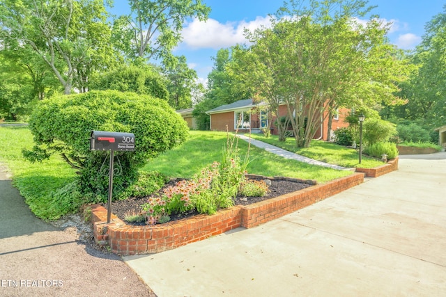 304 Bona Rd, Knoxville, TN 37914 - photo 4