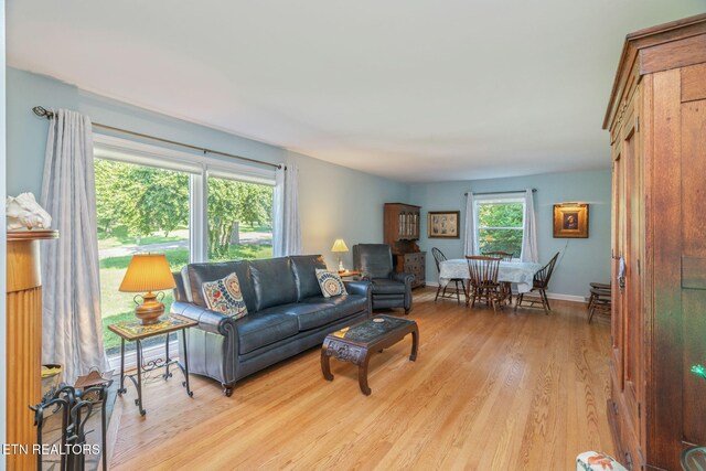 304 Bona Rd, Knoxville, TN 37914 - photo 11