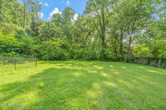 304 Bona Rd, Knoxville, TN 37914 - photo 40
