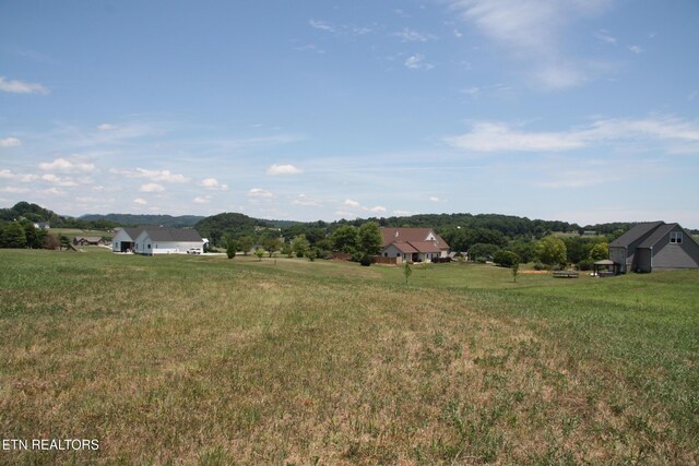 LOT71 River Dr, Blaine, TN 37709 - photo 4