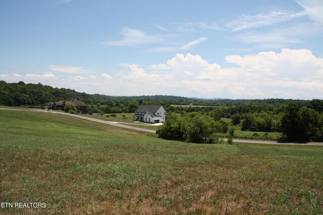 LOT71 River Dr, Blaine, TN 37709 - photo 5
