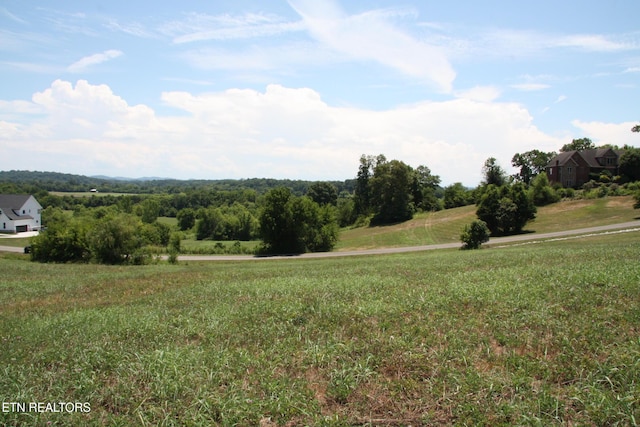 LOT71 River Dr, Blaine, TN 37709 - photo 6