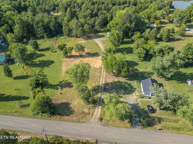 8705 N Ruggles Ferry Pike, Strawberry Plains, TN 37871 - photo 11