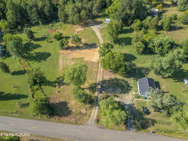 8705 N Ruggles Ferry Pike, Strawberry Plains, TN 37871 - photo 12