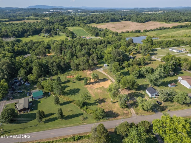8705 N Ruggles Ferry Pike, Strawberry Plains, TN 37871 - photo 14