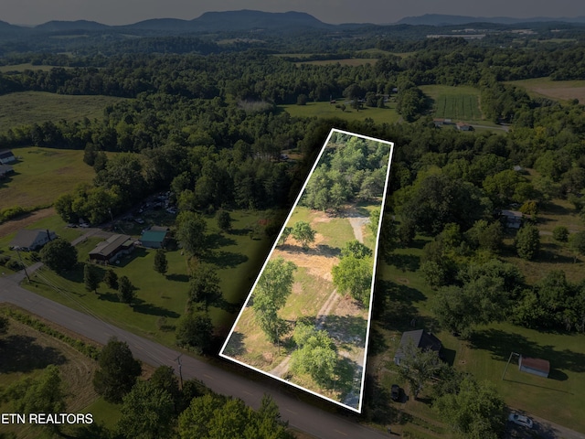 8705 N Ruggles Ferry Pike, Strawberry Plains, TN 37871 - photo 13