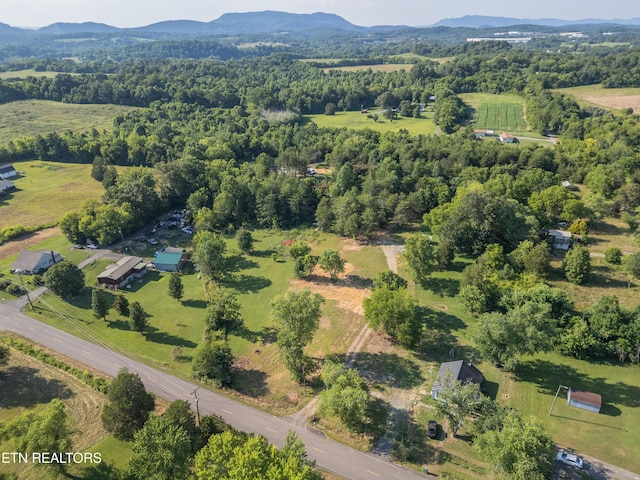 8705 N Ruggles Ferry Pike, Strawberry Plains, TN 37871 - photo 15
