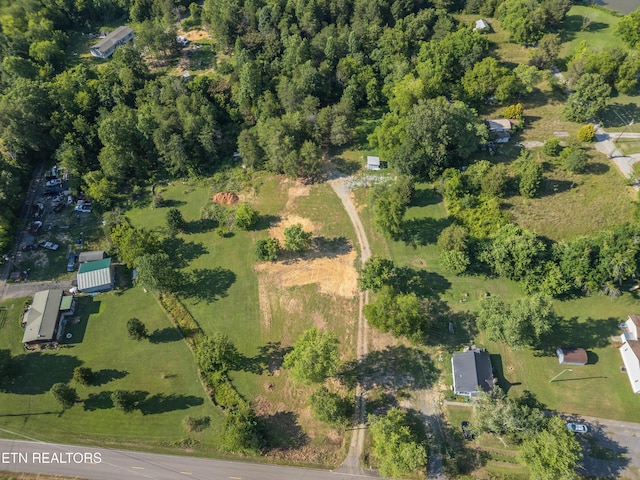 8705 N Ruggles Ferry Pike, Strawberry Plains, TN 37871 - photo 16