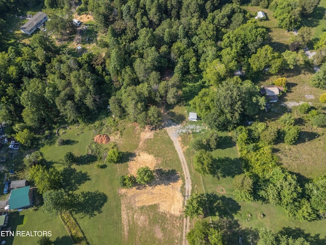 8705 N Ruggles Ferry Pike, Strawberry Plains, TN 37871 - photo 17