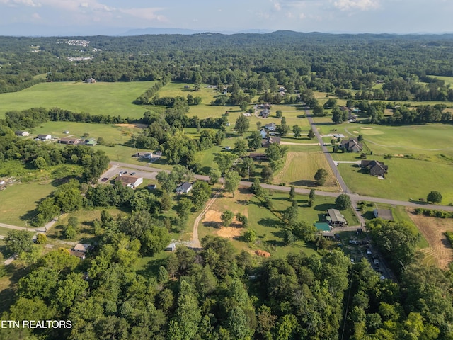 8705 N Ruggles Ferry Pike, Strawberry Plains, TN 37871 - photo 20