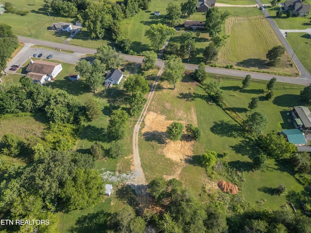 8705 N Ruggles Ferry Pike, Strawberry Plains, TN 37871 - photo 21
