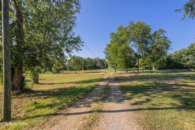 8705 N Ruggles Ferry Pike, Strawberry Plains, TN 37871 - photo 5