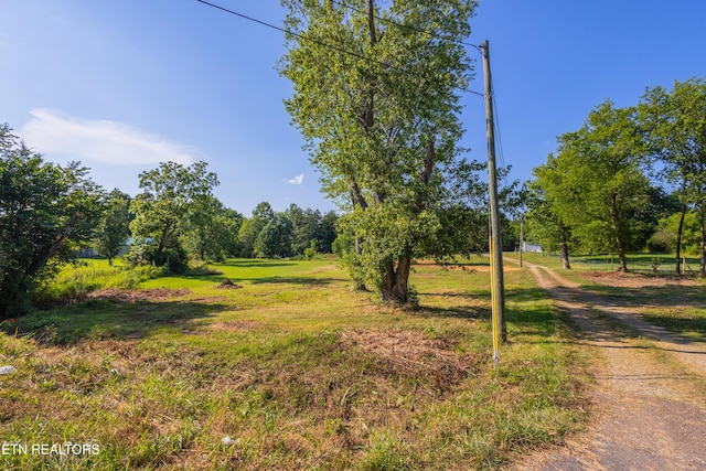 8705 N Ruggles Ferry Pike, Strawberry Plains, TN 37871 - photo 3