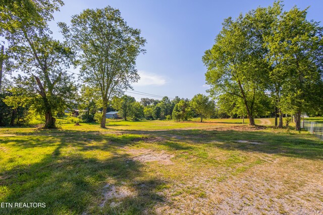 8705 N Ruggles Ferry Pike, Strawberry Plains, TN 37871 - photo 4