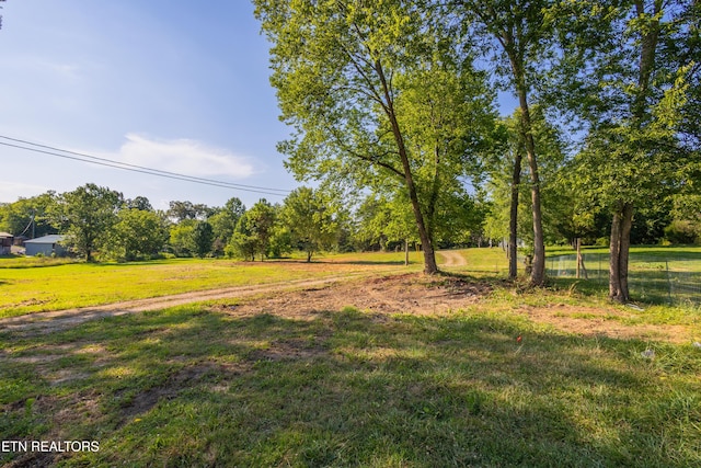 8705 N Ruggles Ferry Pike, Strawberry Plains, TN 37871 - photo 6