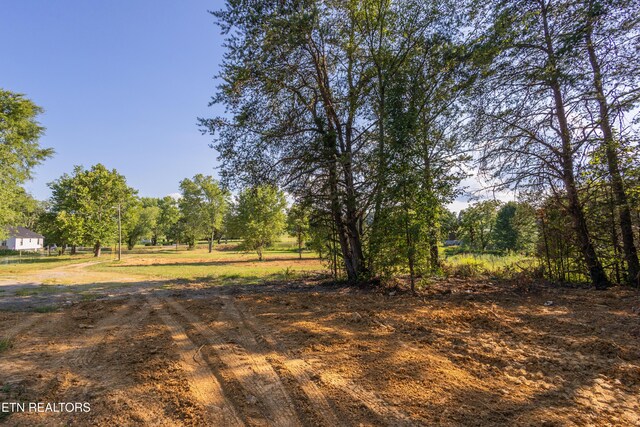 8705 N Ruggles Ferry Pike, Strawberry Plains, TN 37871 - photo 26