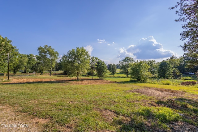 8705 N Ruggles Ferry Pike, Strawberry Plains, TN 37871 - photo 27
