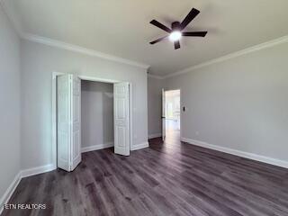 167 Finley Dr, Lenoir City, TN 37771 - photo 15