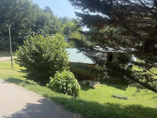 4040 Camp Hollow Rd, Sevierville, TN 37876 - photo 10
