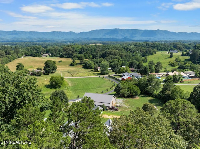 5925 Sevierville Rd, Seymour, TN 37865 - photo 57