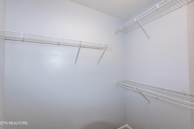 1032 Willow Creek Cir, Maryville, TN 37804 - view of spacious closet