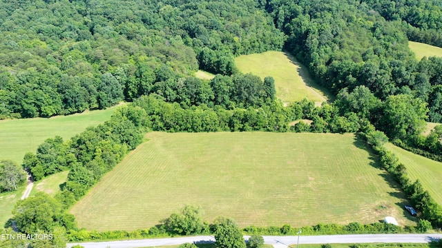 350 N Vfw Rd, Bulls Gap, TN 37711 - photo 4
