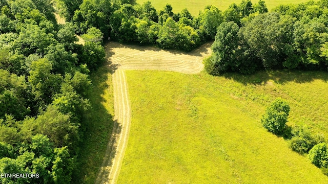 350 N Vfw Rd, Bulls Gap, TN 37711 - photo 9