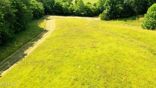 350 N Vfw Rd, Bulls Gap, TN 37711 - photo 10