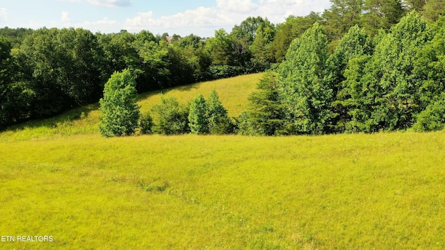 350 N Vfw Rd, Bulls Gap, TN 37711 - photo 11