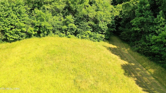 350 N Vfw Rd, Bulls Gap, TN 37711 - photo 12