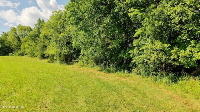 350 N Vfw Rd, Bulls Gap, TN 37711 - photo 13