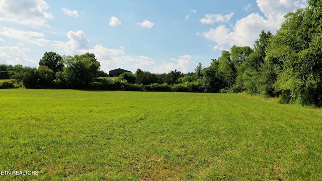 350 N Vfw Rd, Bulls Gap, TN 37711 - photo 14