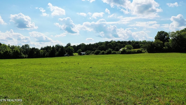 350 N Vfw Rd, Bulls Gap, TN 37711 - photo 15