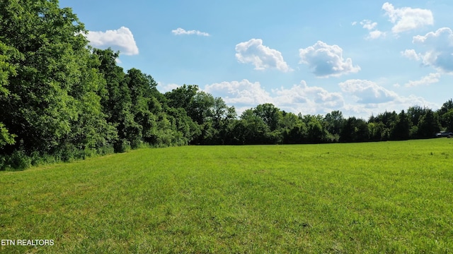 350 N Vfw Rd, Bulls Gap, TN 37711 - photo 16