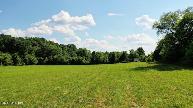 350 N Vfw Rd, Bulls Gap, TN 37711 - photo 17