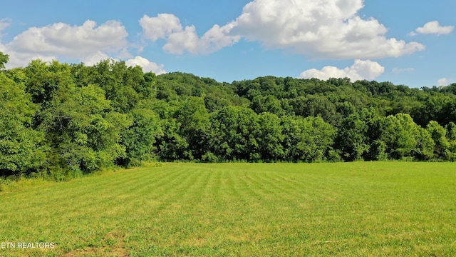 350 N Vfw Rd, Bulls Gap, TN 37711 - photo 18