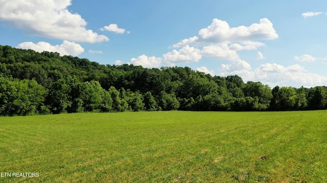 350 N Vfw Rd, Bulls Gap, TN 37711 - photo 19