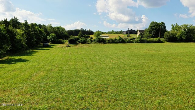 350 N Vfw Rd, Bulls Gap, TN 37711 - photo 20