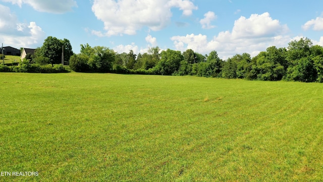 350 N Vfw Rd, Bulls Gap, TN 37711 - photo 21